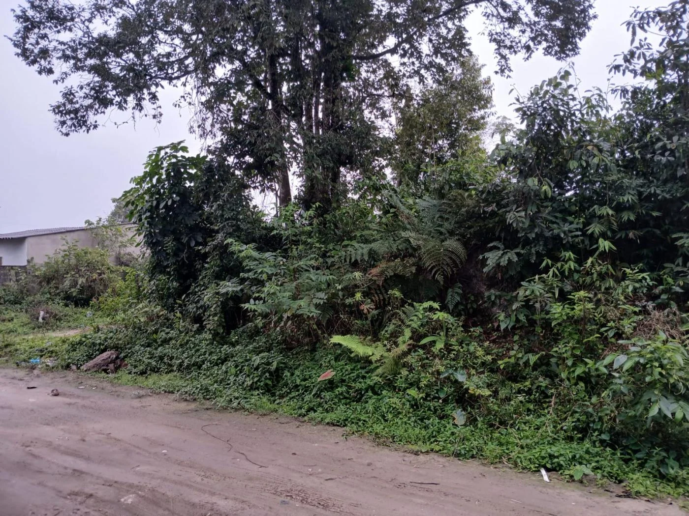 Terreno no bairro Jardim Coronel